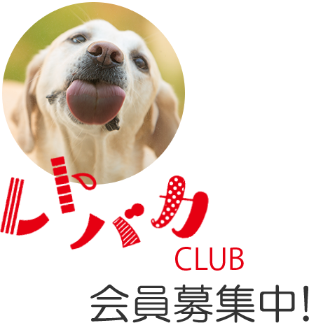 レトリーバーとの暮らしを豊かに楽しく Retriever Web